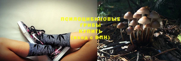 мяу мяу мука Дмитриев