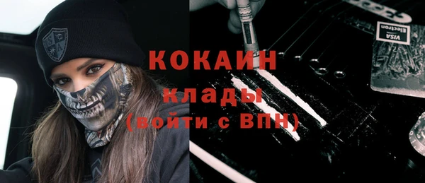 хмурый Ельня