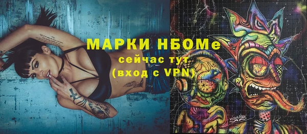 хмурый Ельня