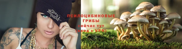 мяу мяу мука Дмитриев