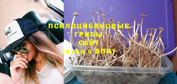 дживик Дмитров