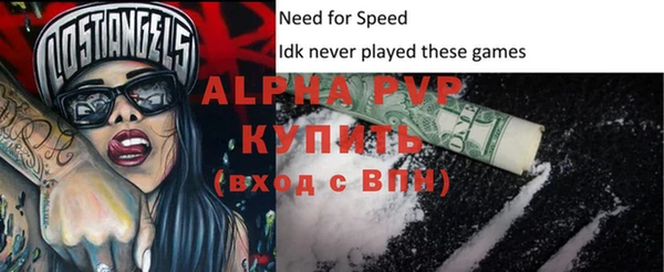 хмурый Ельня