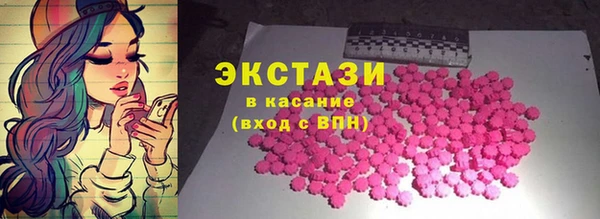 хмурый Ельня